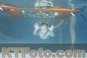 Photo 4210444