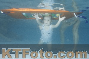 Photo 4210445