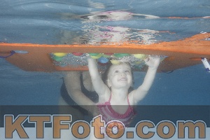 Photo 4210446