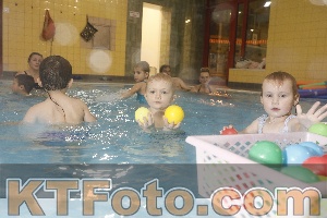 Photo 4210458