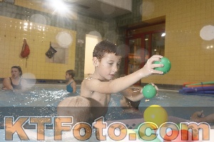 Photo 4210460