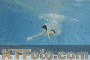 Foto 4205544