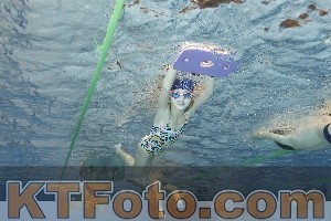 Foto 4205606