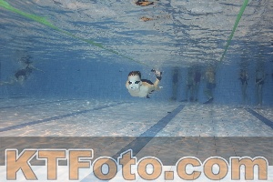 Foto 4205662