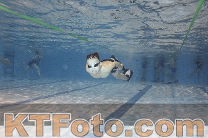 Foto 4205663