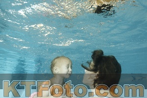 Foto 4160893