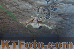 Photo 4210481