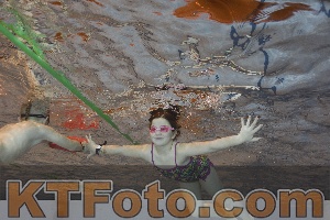 Photo 4210482