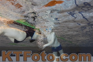 Photo 4210486