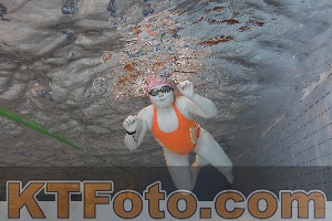 Photo 4210494