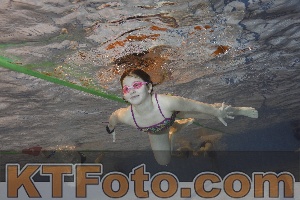 Photo 4210505