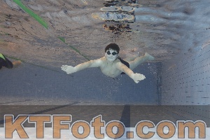Photo 4210539