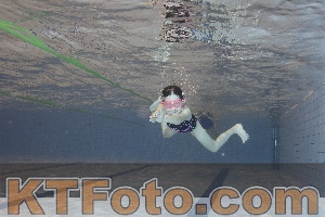 Photo 4210559