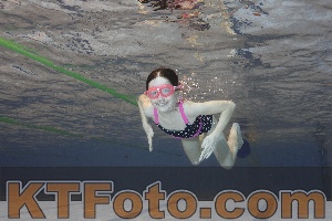 Photo 4210561