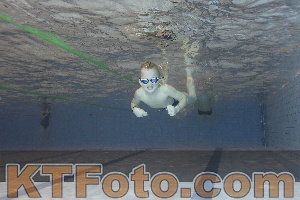 Photo 4210566