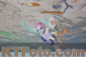 Foto 4298316