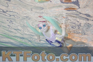 Foto 4298317