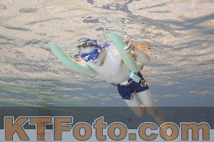 Foto 4298326