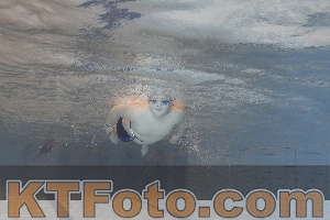 Foto 4298461