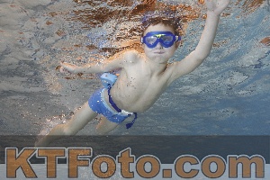 Foto 4298486