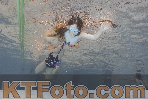 Foto 4298487