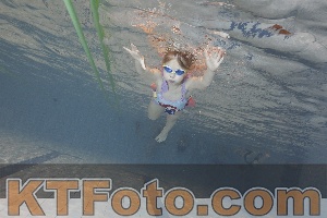 Foto 4298495