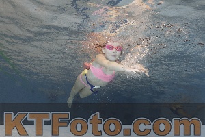 Foto 4298500