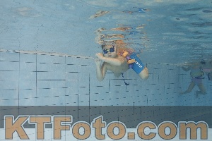 Foto 4298506