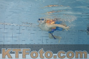 Foto 4298507