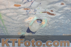 Foto 4298534