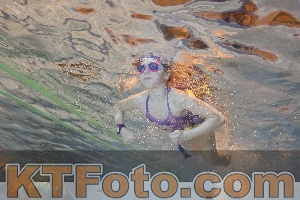 Foto 4298797