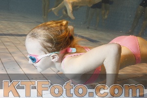 Foto 4298803