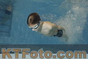 Foto 4298844