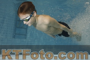 Foto 4298845