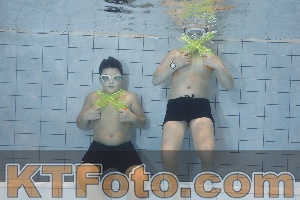 Foto 4299019