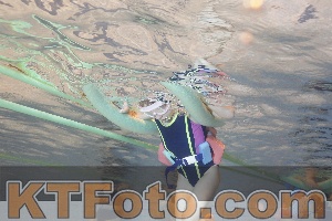Foto 4299036