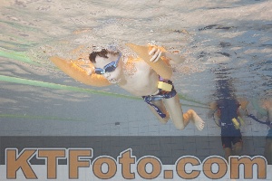 Foto 4299039