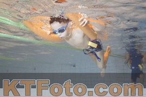 Foto 4299040