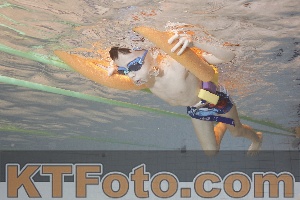 Foto 4299041