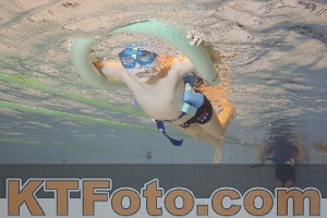 Foto 4299047