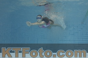 Foto 4299090