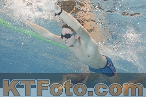 Photo 4299208