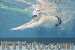 Photo 4299210