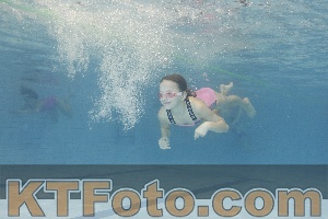 Photo 4299212