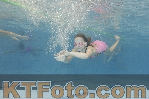Photo 4299213