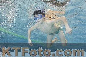 Foto 4299224