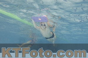 Photo 4299227