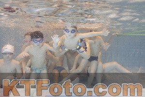 Photo 4299229