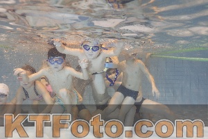 Photo 4299230