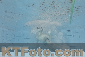 Foto 4299240